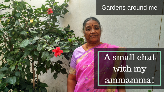 Gardens Around Me | Episode 1 | Ammamma’s Interview (part 3)