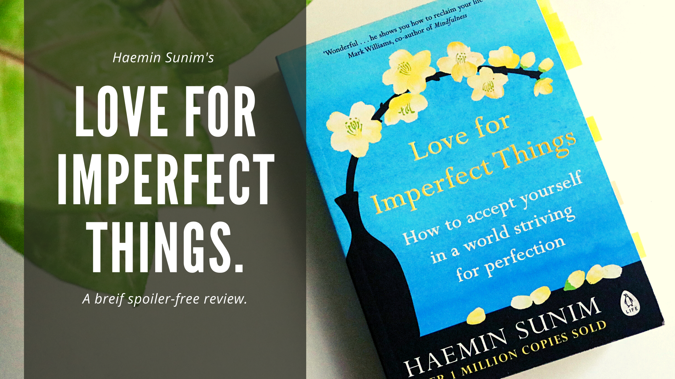 Love for Imperfect Things by Haemin Sunim | A review | Diarytale