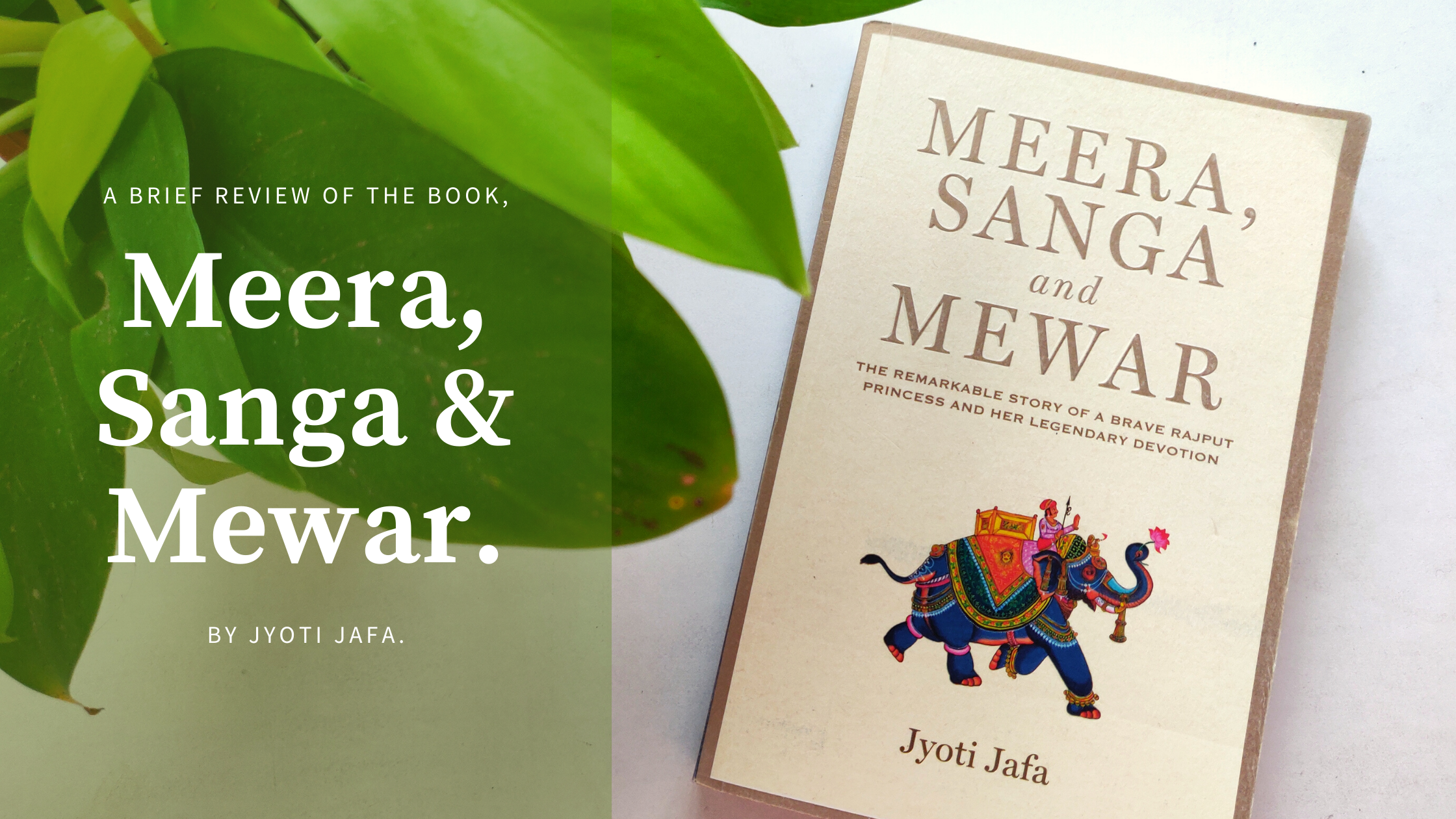 Meera, Sanga and Mewar by Jyoti Jafa | A breif Book Review | Spoiler-free